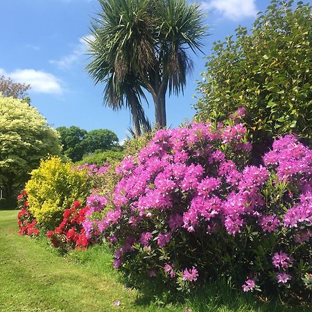 Stay On The Grounds Of This Beautiful Manor House Wimborne Minster Zewnętrze zdjęcie