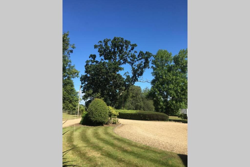 Stay On The Grounds Of This Beautiful Manor House Wimborne Minster Zewnętrze zdjęcie