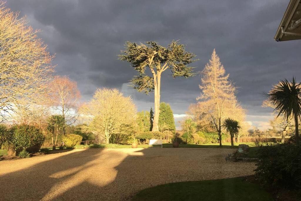 Stay On The Grounds Of This Beautiful Manor House Wimborne Minster Zewnętrze zdjęcie