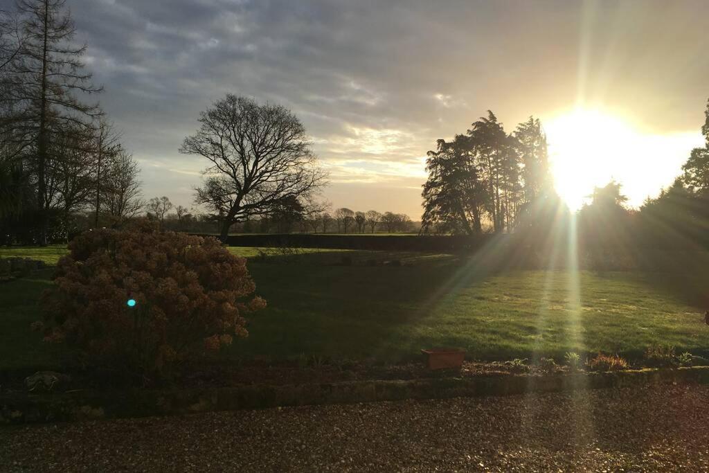 Stay On The Grounds Of This Beautiful Manor House Wimborne Minster Zewnętrze zdjęcie