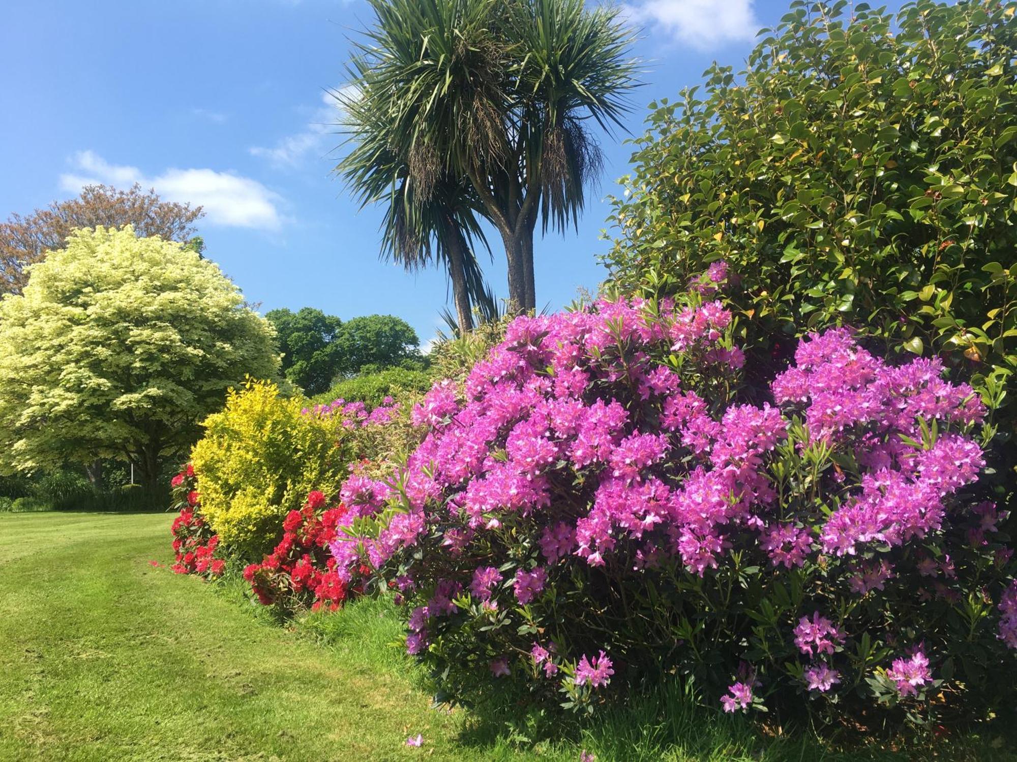 Stay On The Grounds Of This Beautiful Manor House Wimborne Minster Zewnętrze zdjęcie